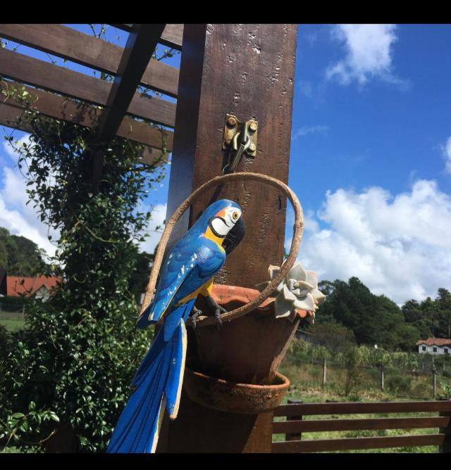 Casa Da Serra São Francisco de Paula Exteriör bild
